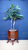 Edwardian Mahogany Octagonal Jardinière