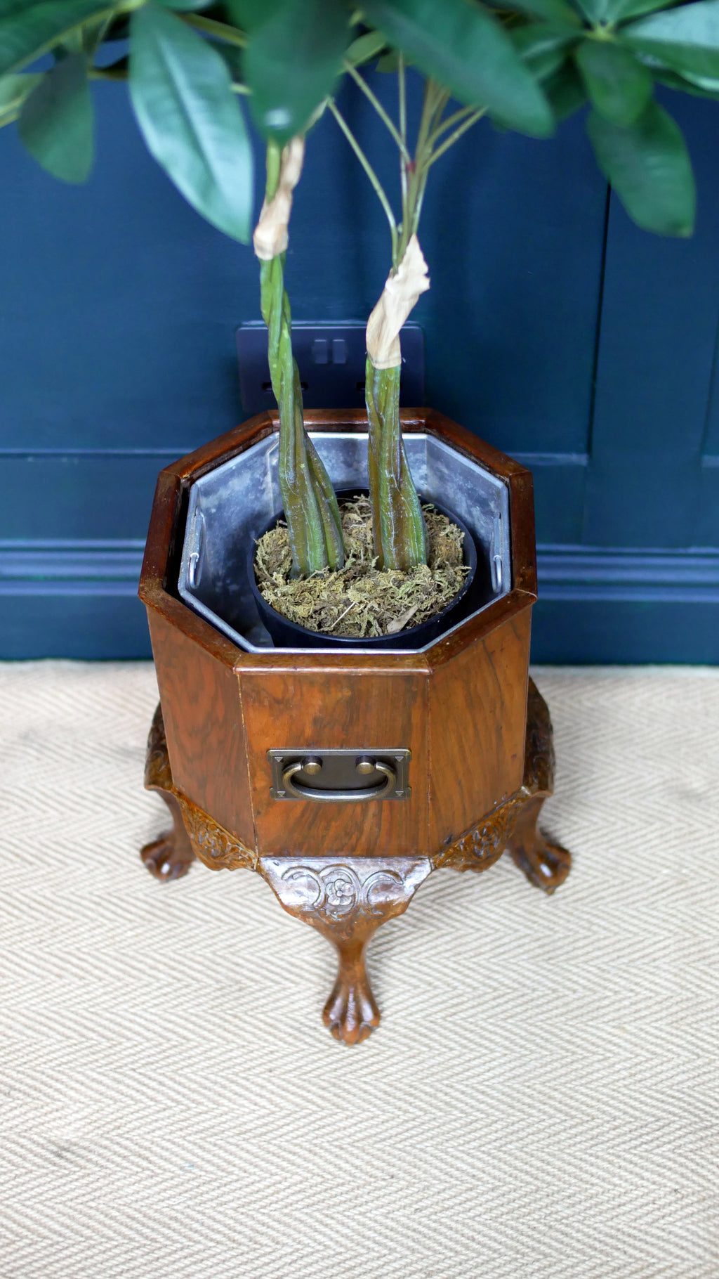 Edwardian Mahogany Octagonal Jardinière