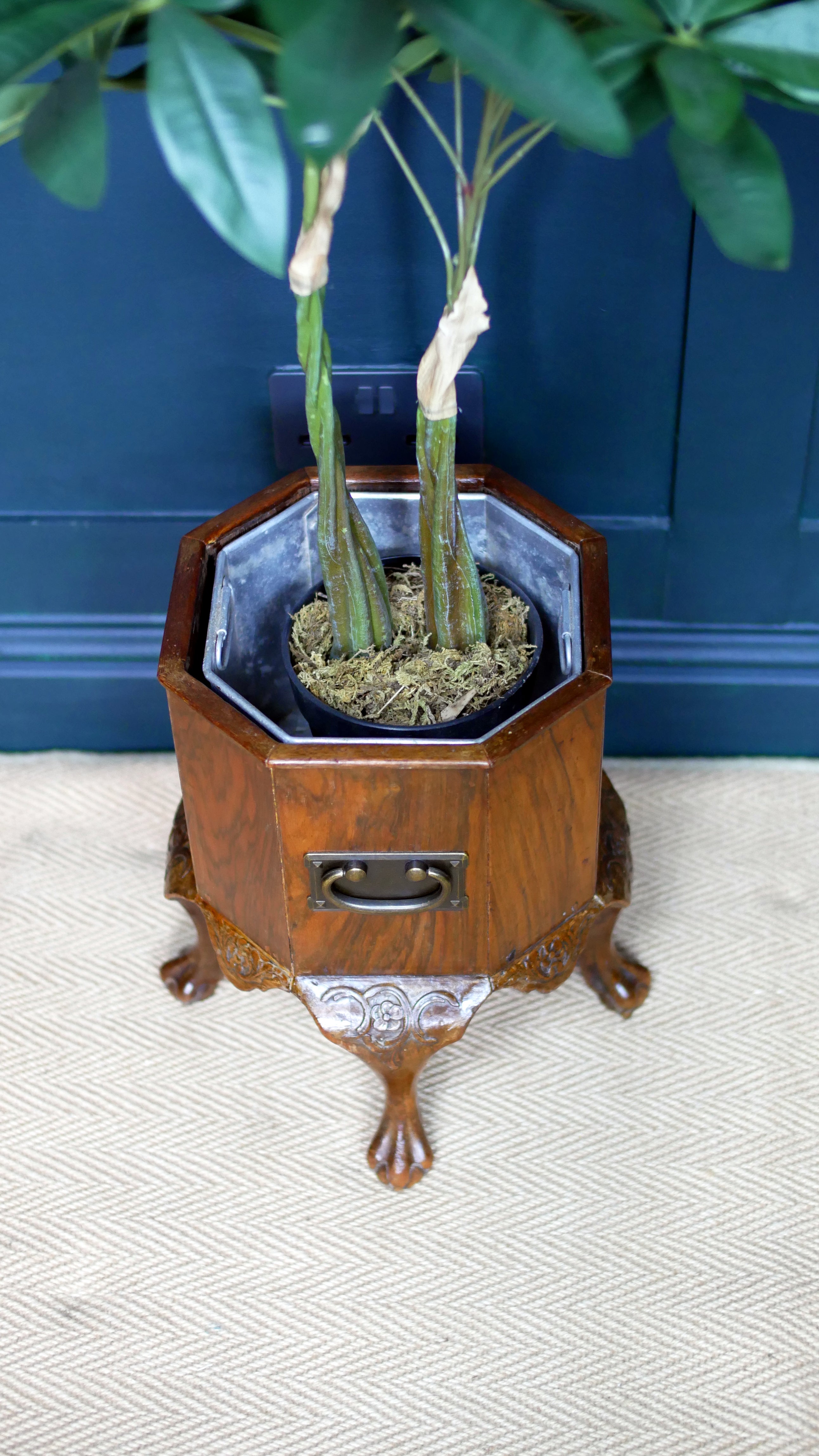 Edwardian Mahogany Octagonal Jardinière